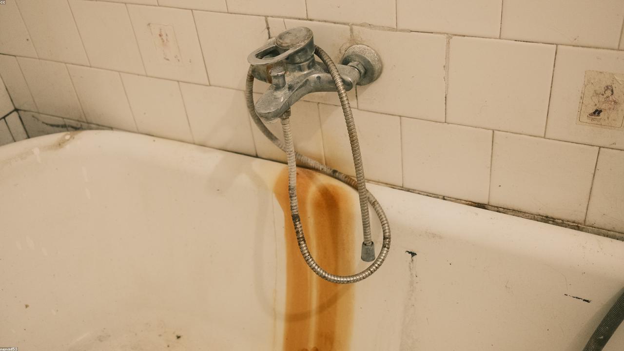 Abflussreinigung